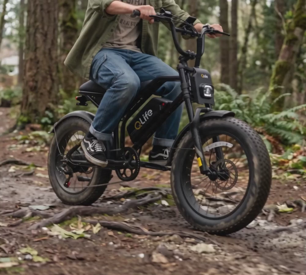 Qlife Bike
