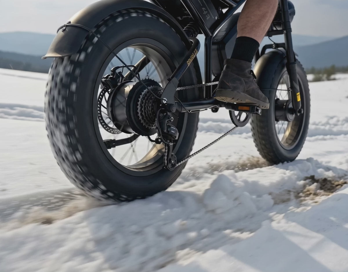 Qlife Bike